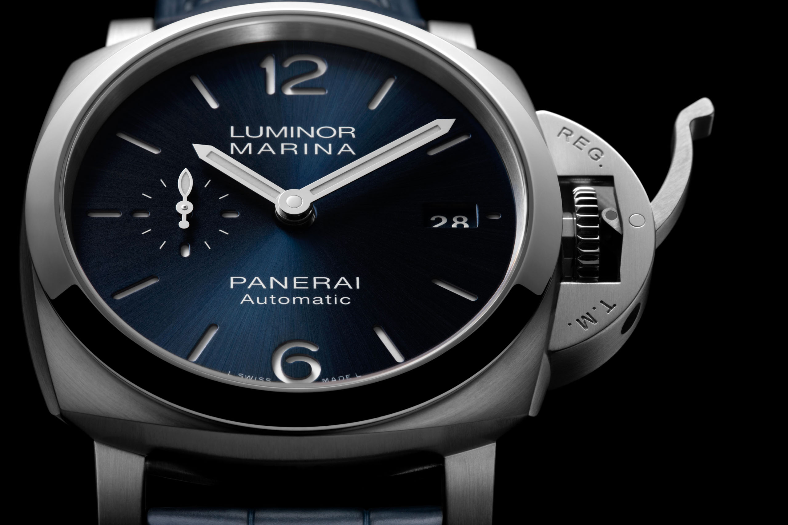 PAM01393